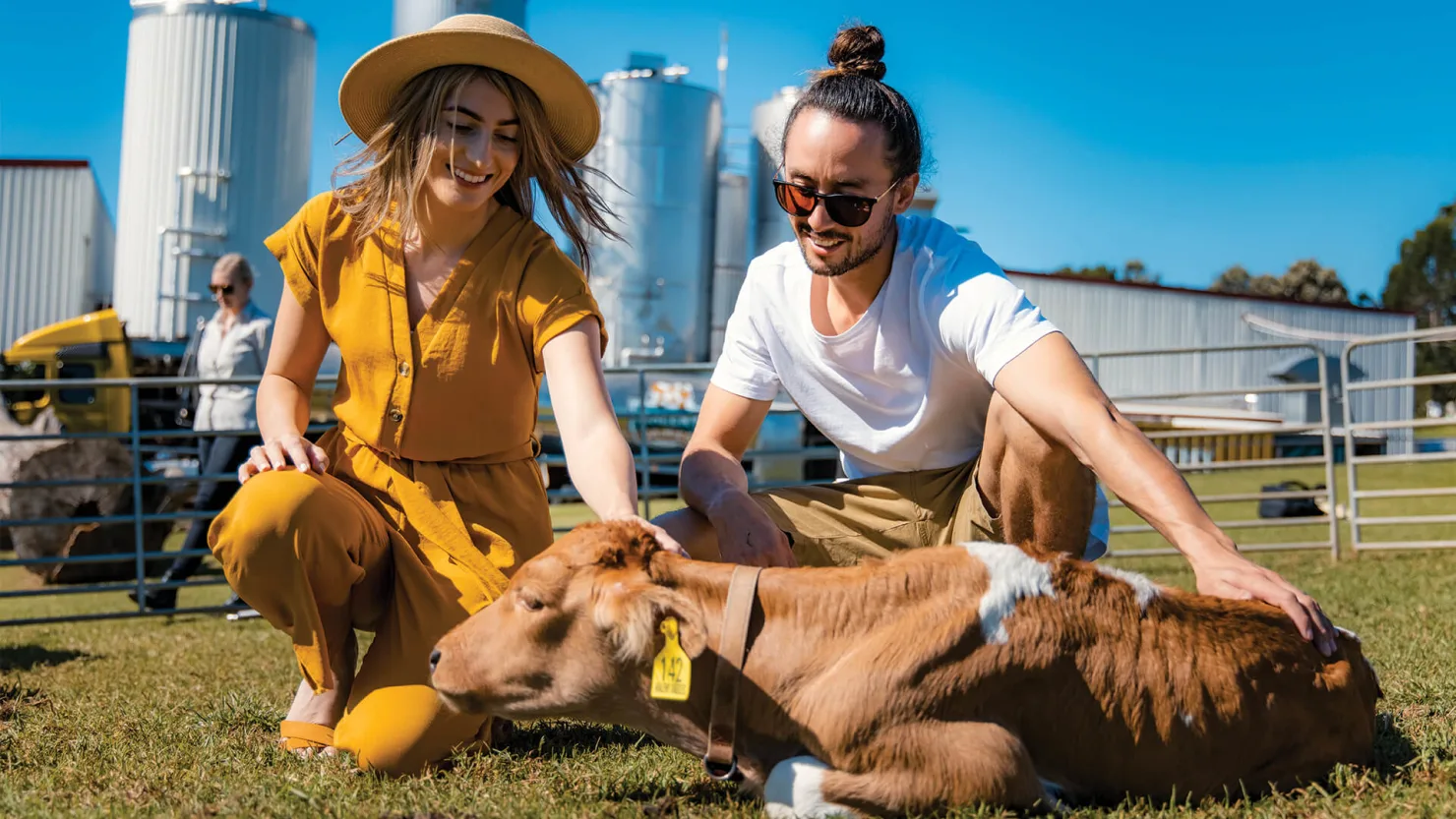 Maleny Dairy