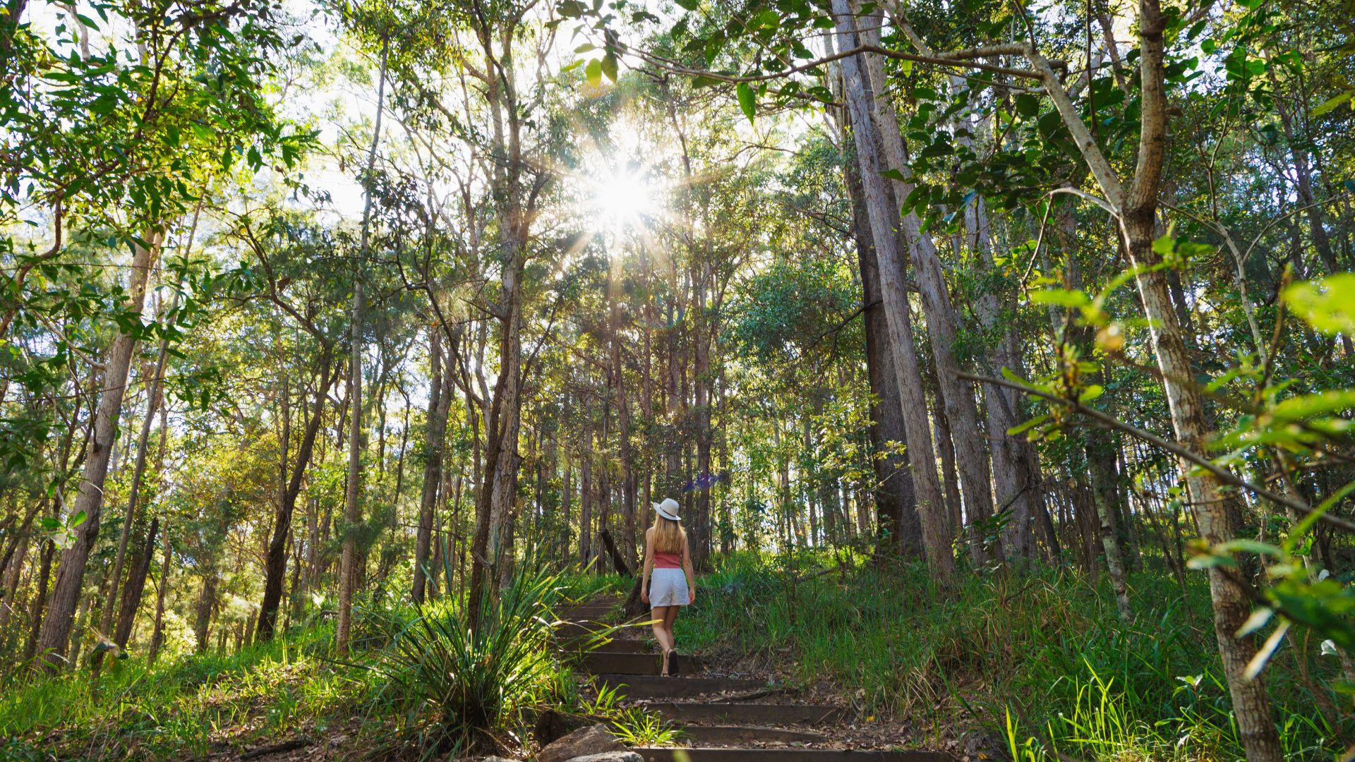 Nambour | Visit Sunshine Coast