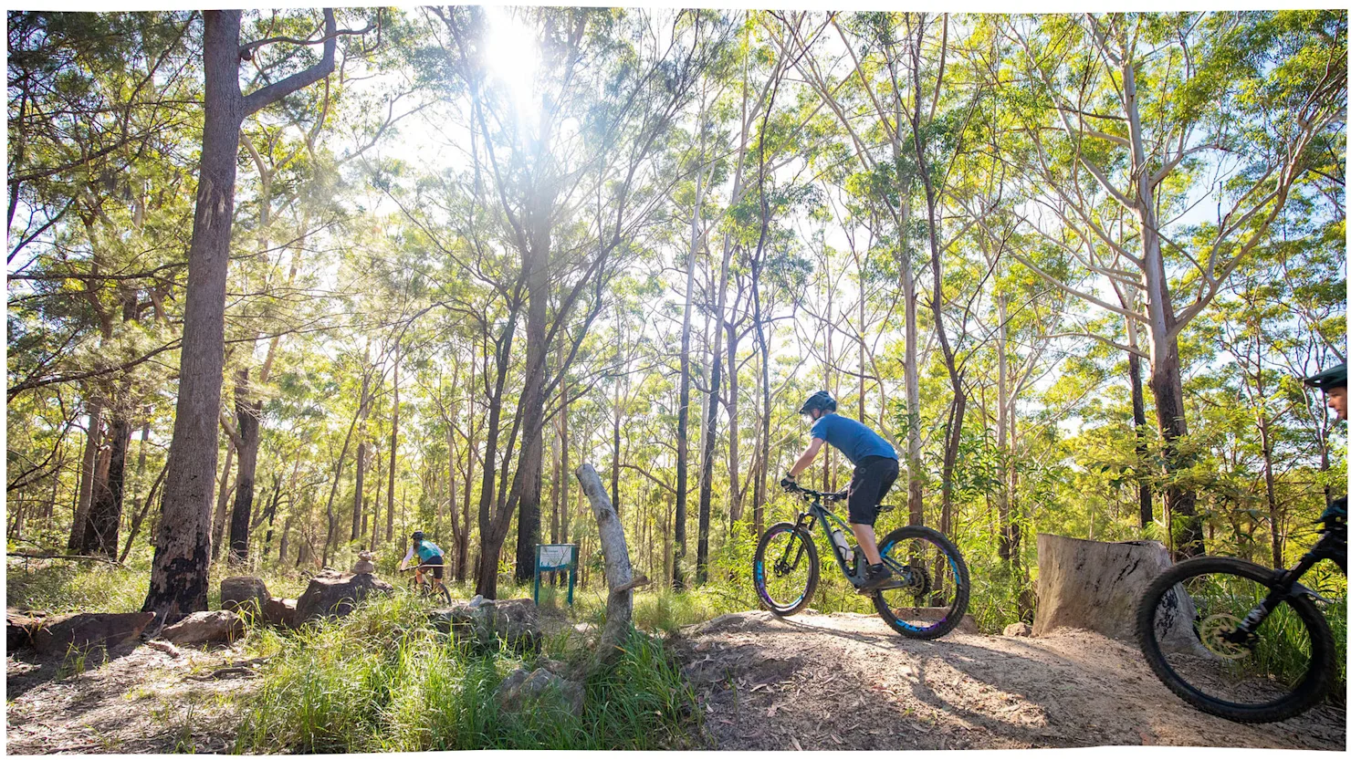 Tewantin Mountain Bike Trails