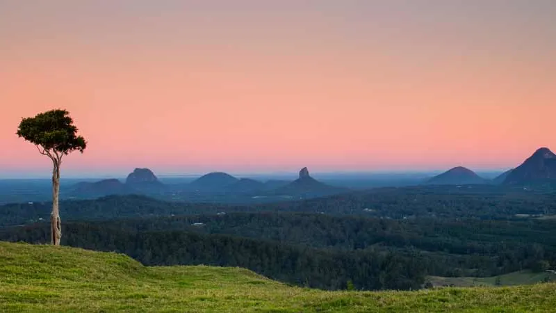 One tree hill, Maleny