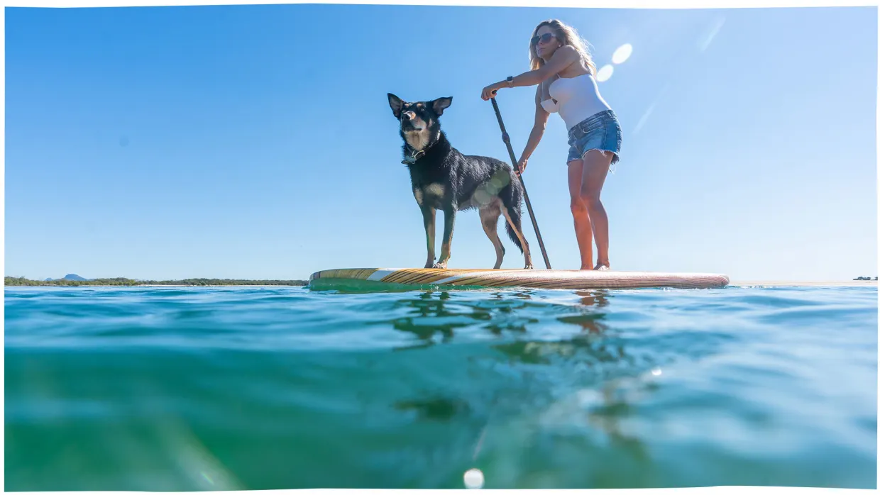 Paddleboard at Cotton Tree