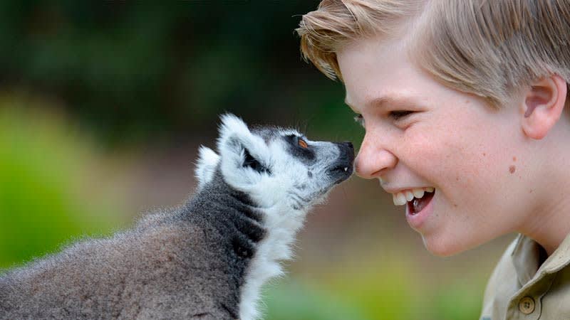 Australia Zoo with Robert and lemur