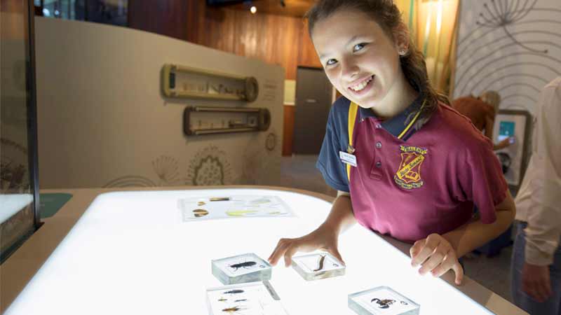 Maleny State School captain Isobel Handley checks out one of the interactive exhibits inside the centre