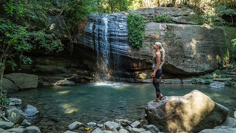 Buderim Forest Waterfalls (Serenity Falls), Buderim