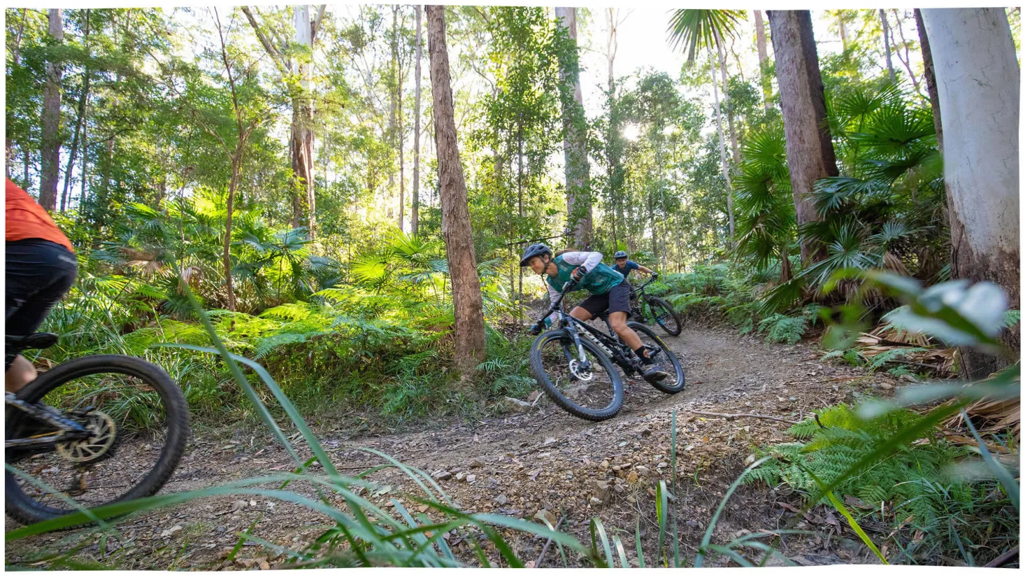 Tewantin National Park Mountain Bike Trails