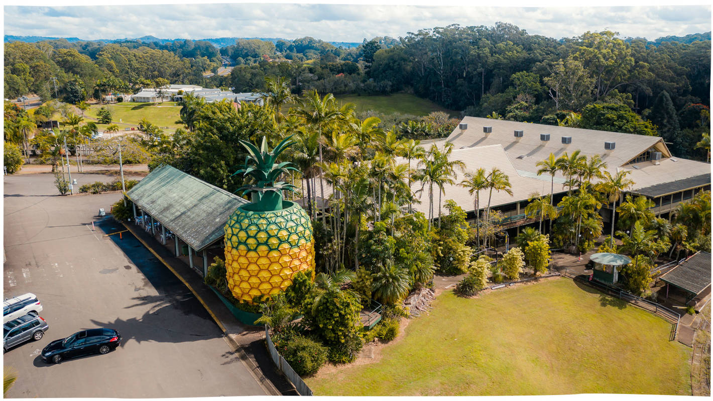The Big Pineapple, Woombye
