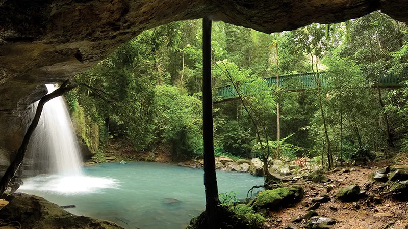 Buderim Forest Waterfall