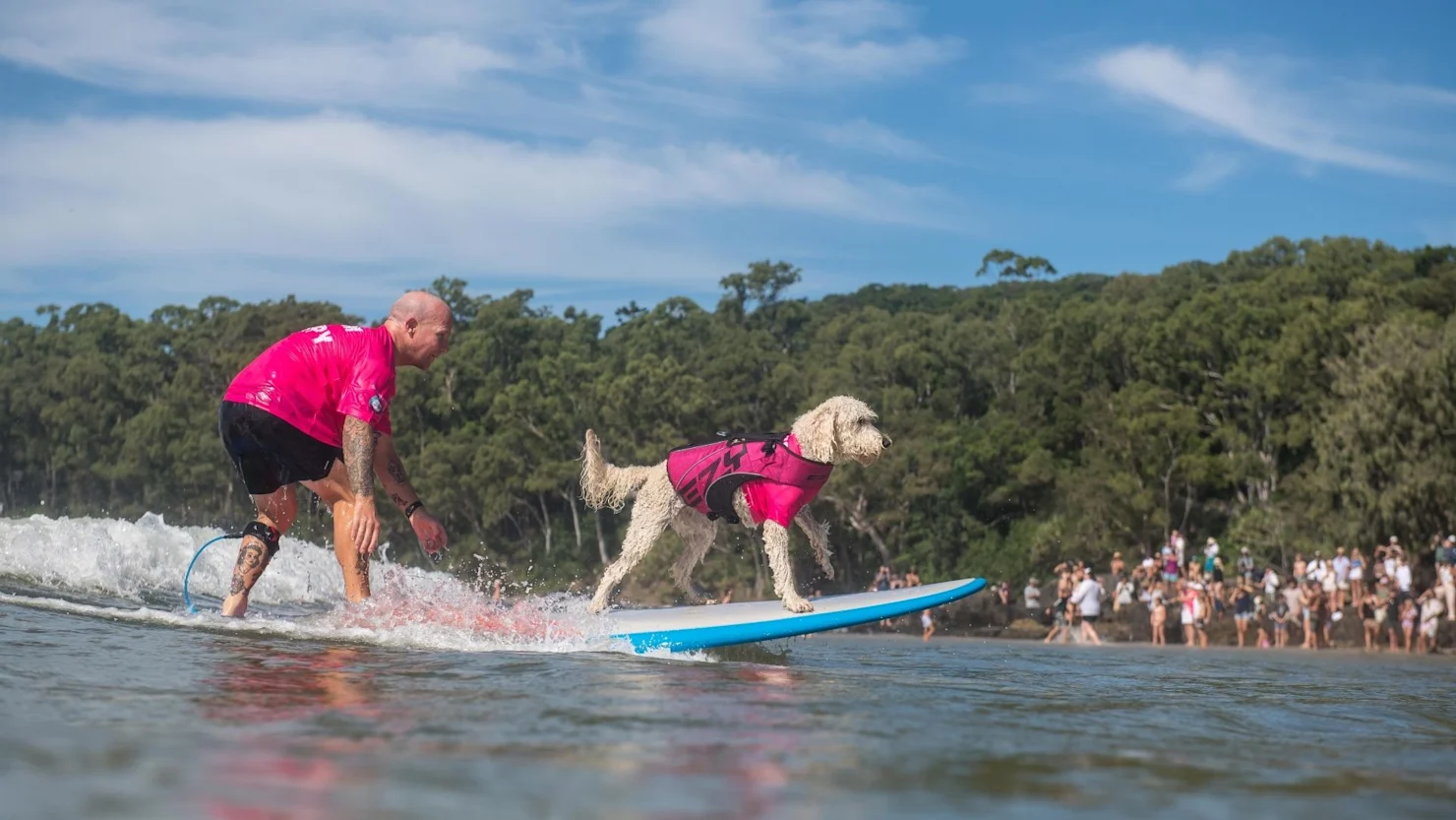 Noosa Festival of Surfing, Noosa Heads