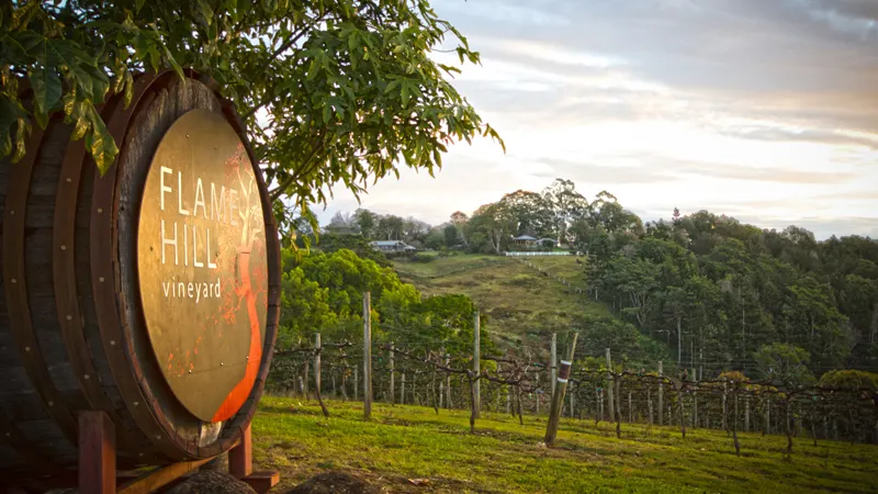 Flame Hill Vineyard, Montville.