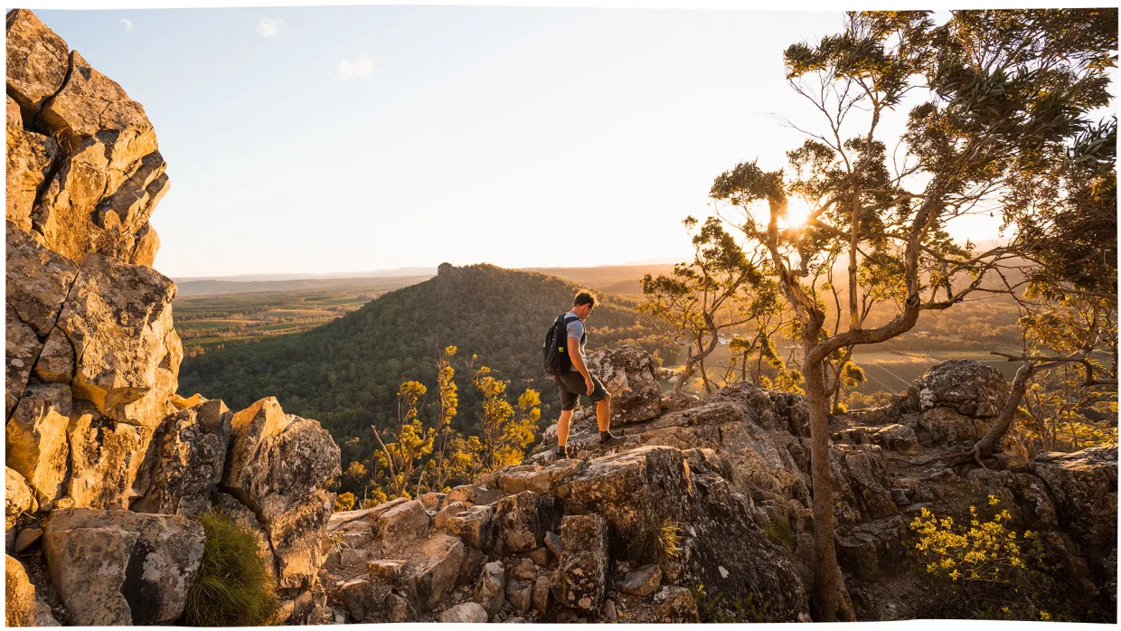 12 awesome things to do in the Sunshine Coast Hinterland