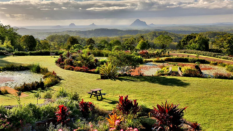 Maleny Botanical Gardens