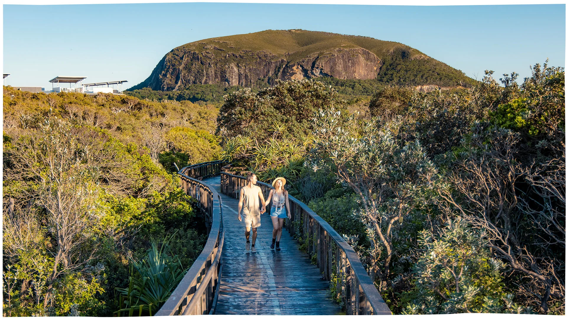 Mt Coolum boardwalk