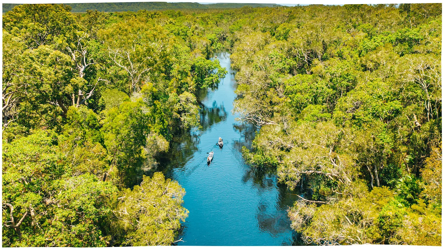 Noosa Everglades