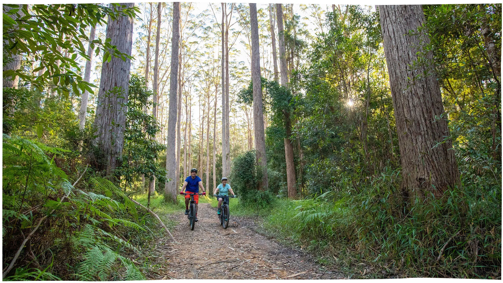 Best mountain bike rides for beginners on the Sunshine Coast