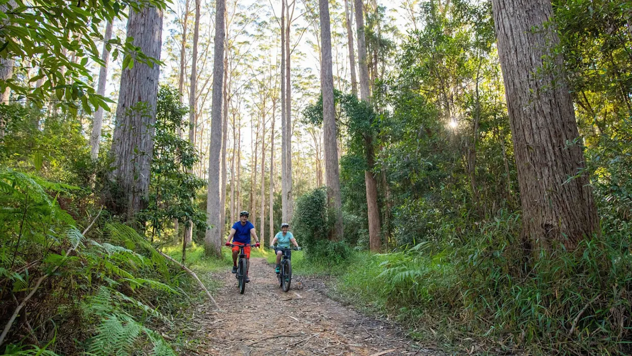 Best mountain bike rides for beginners on the Sunshine Coast