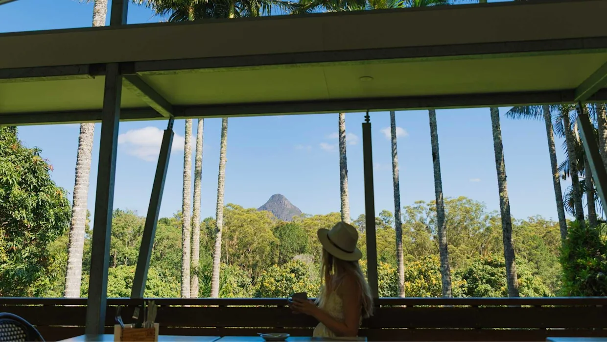 Coffee at Glasshouse Plantation, Glass House Mountains, Sunshine Coast