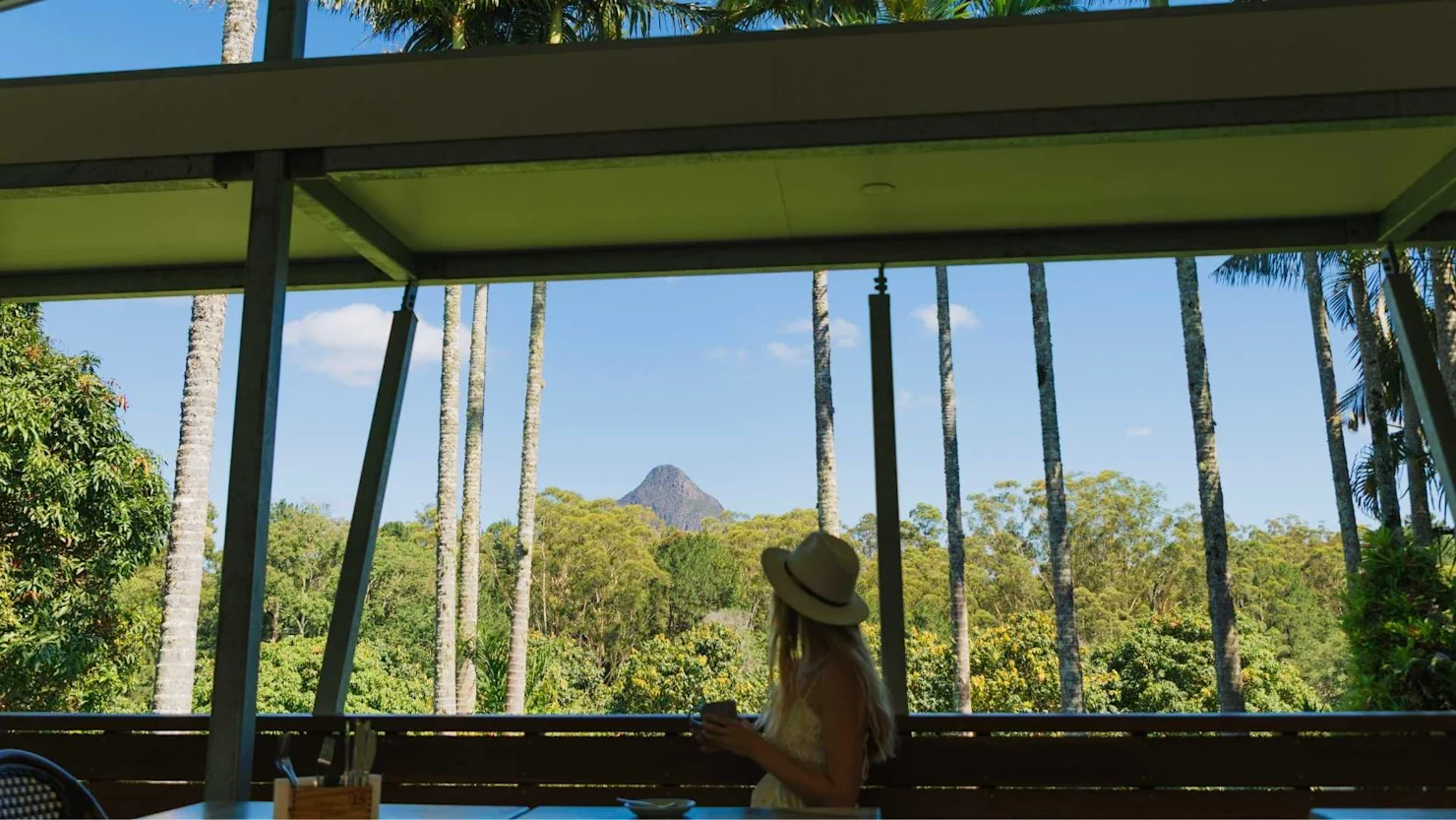 Coffee at Glasshouse Plantation, Glass House Mountains, Sunshine Coast