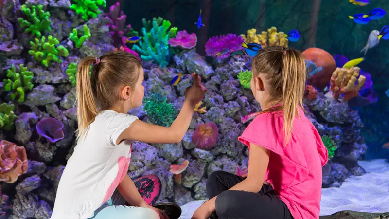 Family fun at SEALIFE, Mooloolaba