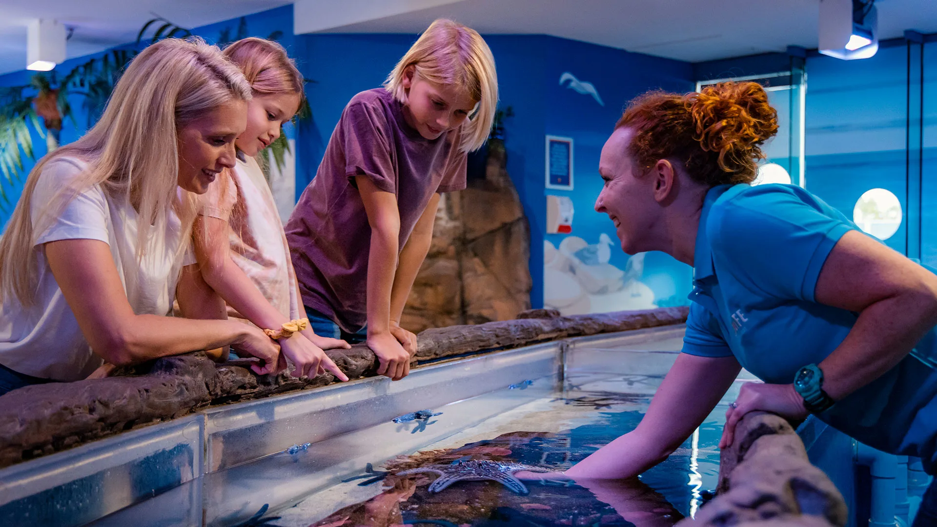 SEA LIFE Sunshine Coast, Mooloolaba