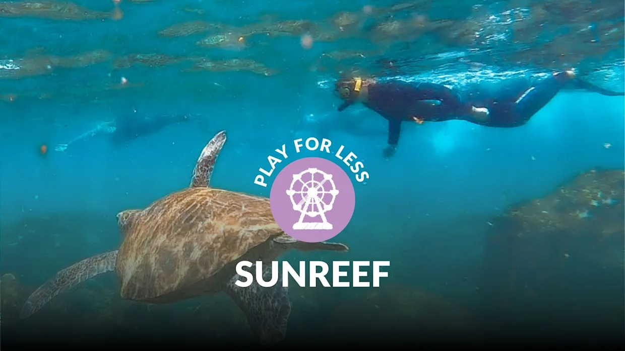 30% off Mudjimba Island turtle snorkelling (min 4 snorkellers)