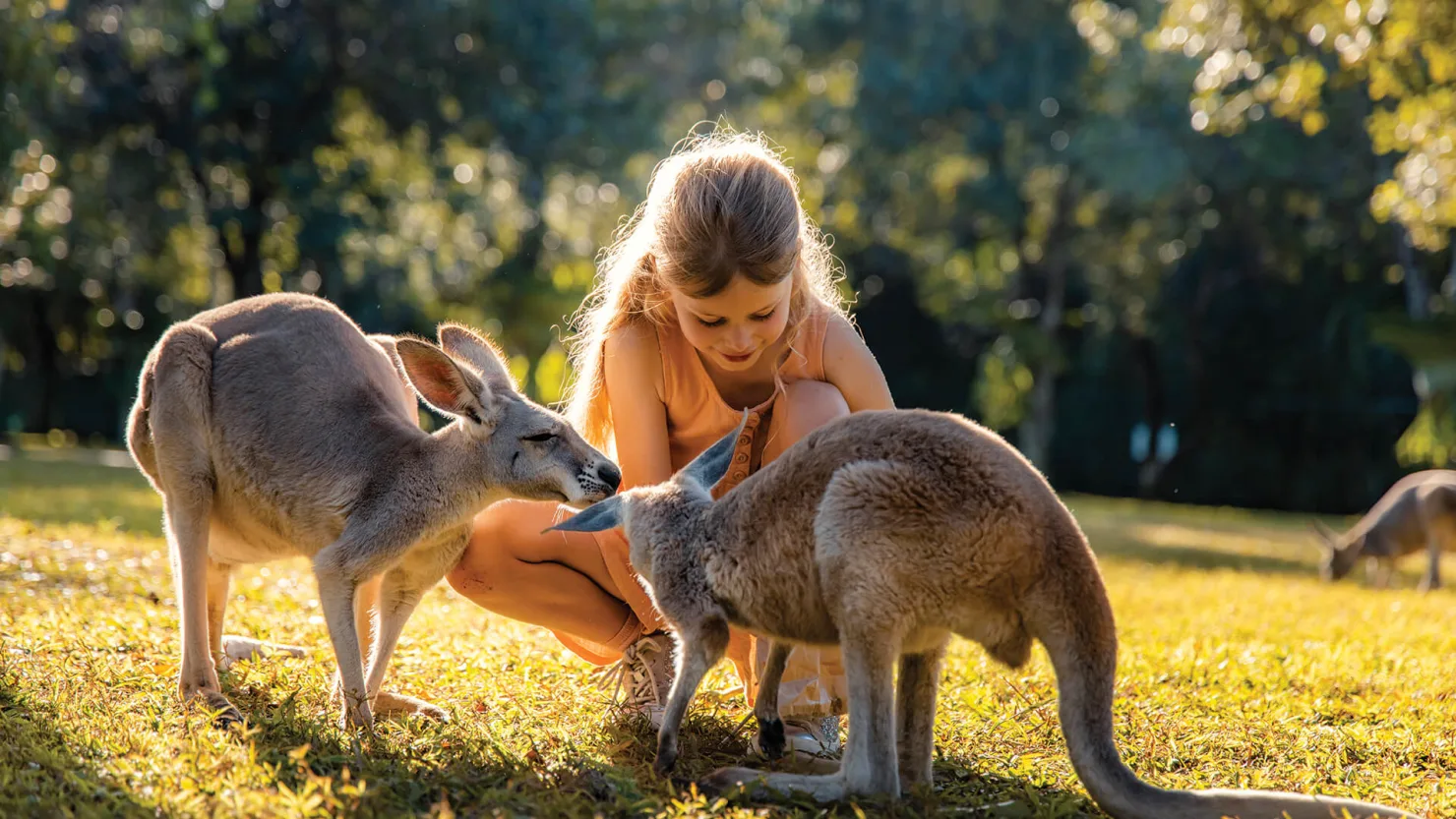 Australia Zoo