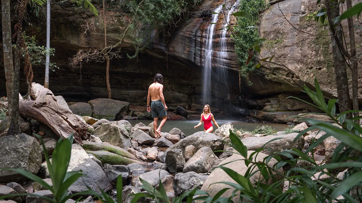 Serenity Falls, Buderim Forest Park. Credit: All About Adventure