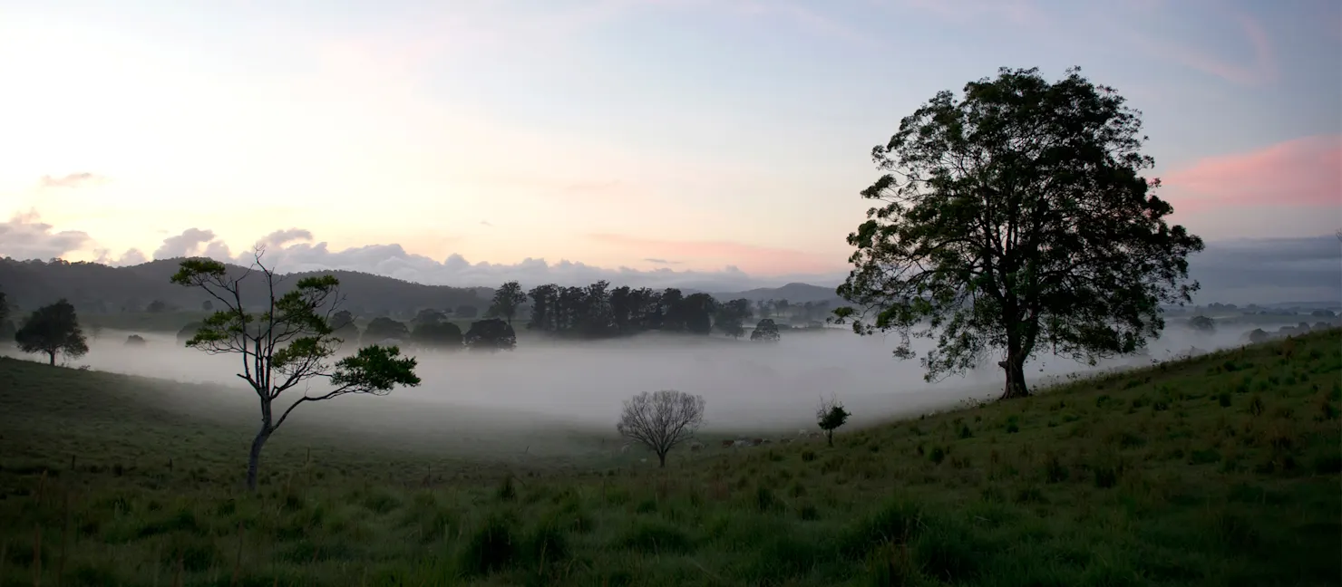 The Mary Valley scenic drive