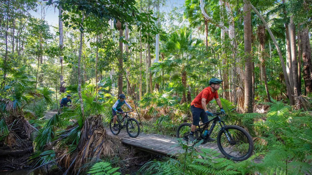 Tewantin National Park Mountain Bike Trails