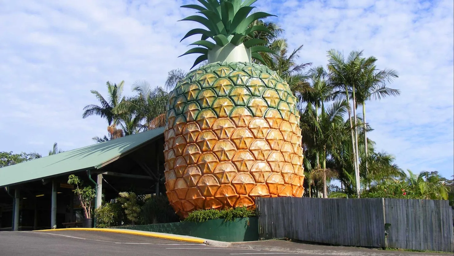 The Big Pineapple, Woombye