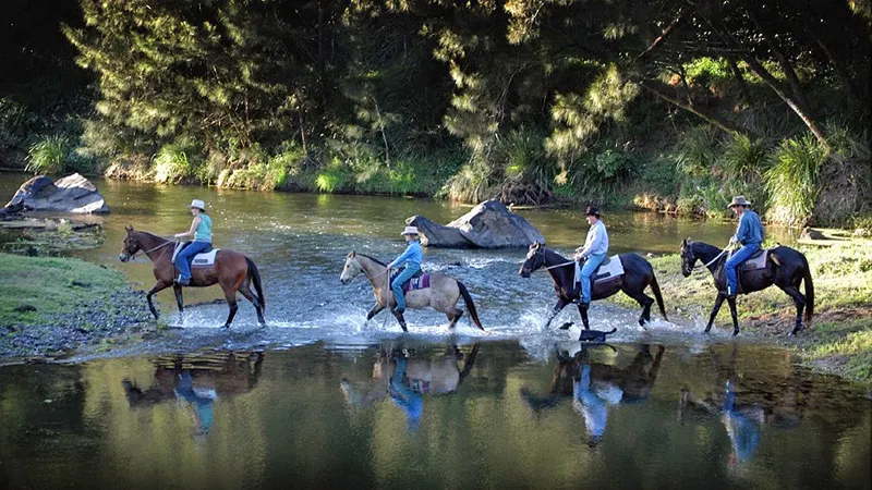 Horse riding in the Mary Valley