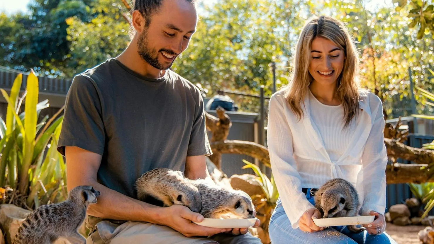 Wildlife HQ, Woombye