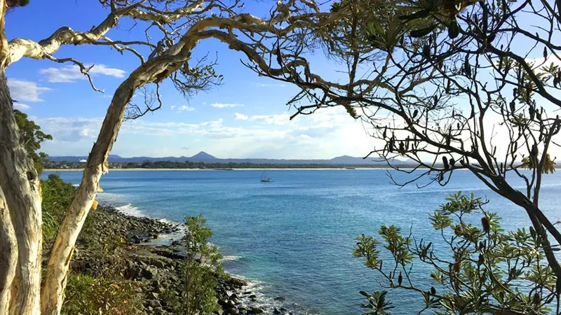 Photo: @catherinealison via #VisitSunshineCoast