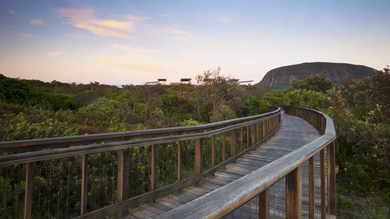 Mount Coolum boardwalk / Photo credit: Brent Matthews 