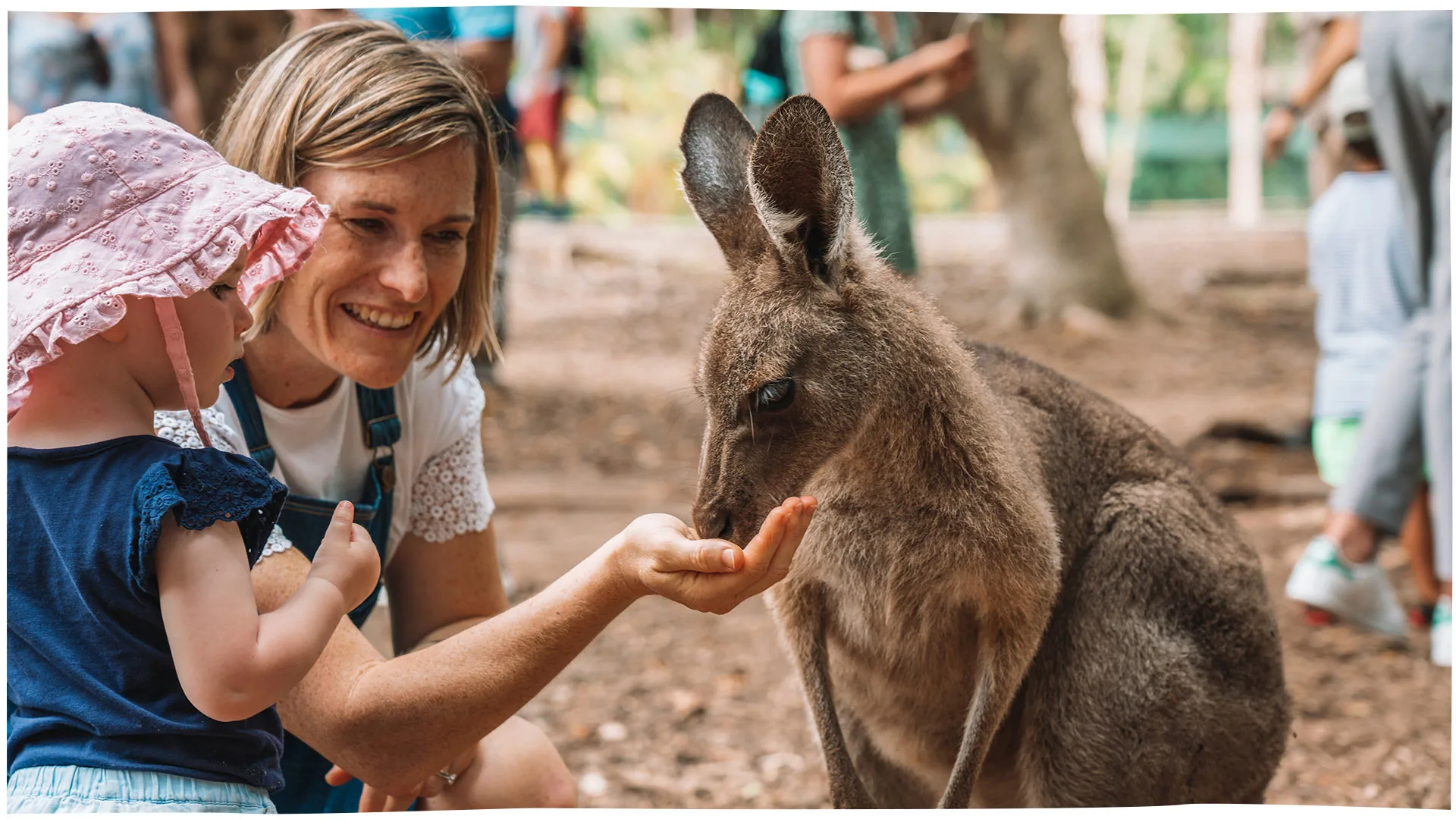 Australia Zoo, Beerwah