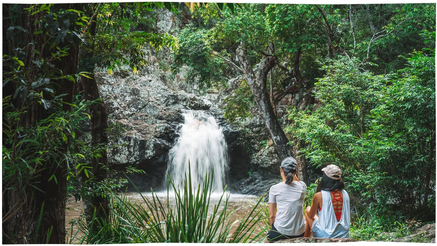 Resting By Kondalilla Falls In The Kondalilla National Park, Montville