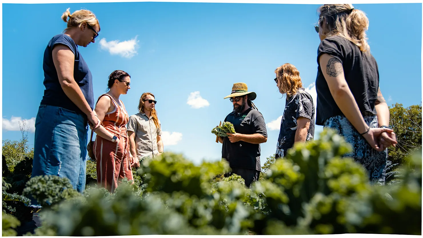 Good Harvest Organic Farm