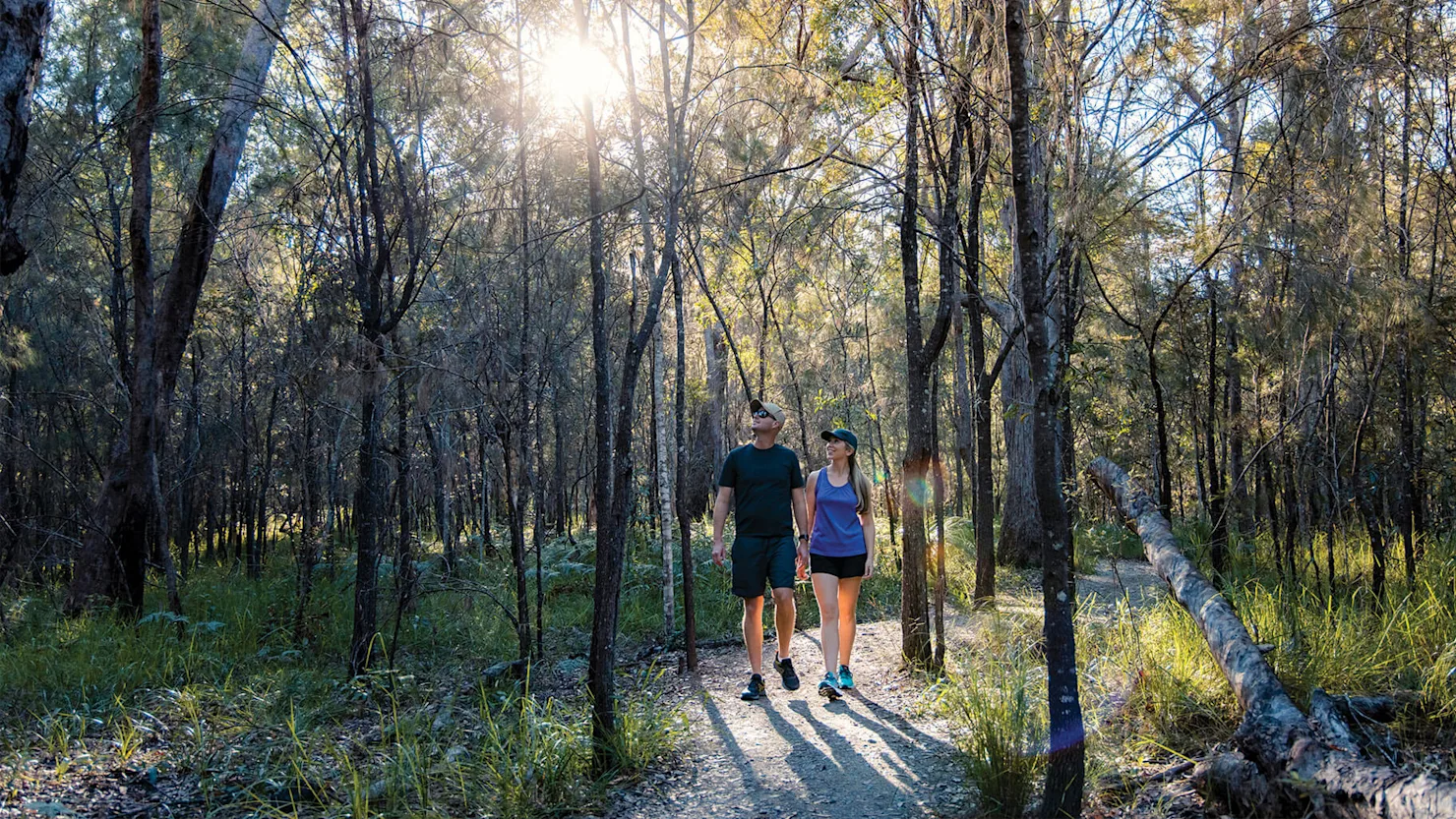 The Sunshine Coast Hinterland