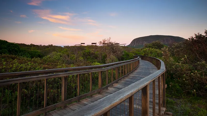 Boardwalk at Coolum