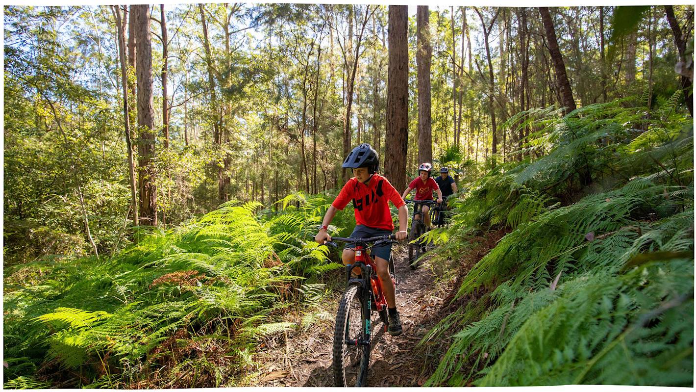 Best mountain bike rides for beginners on the Sunshine Coast Visit