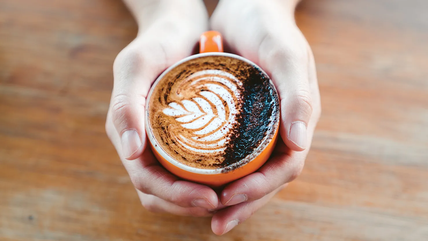 The best coffee on the Sunshine Coast