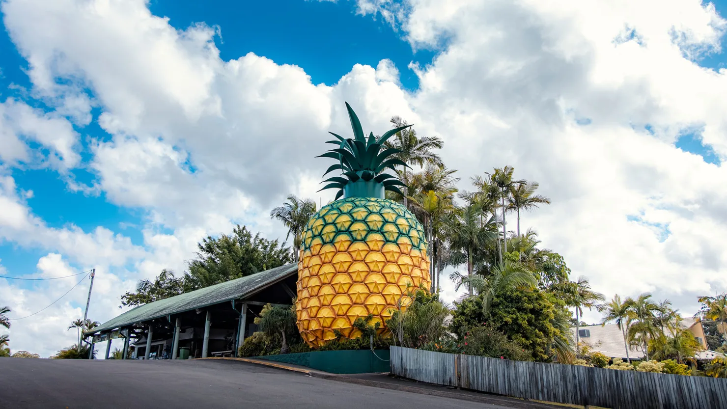 The Big Pineapple, Woombye