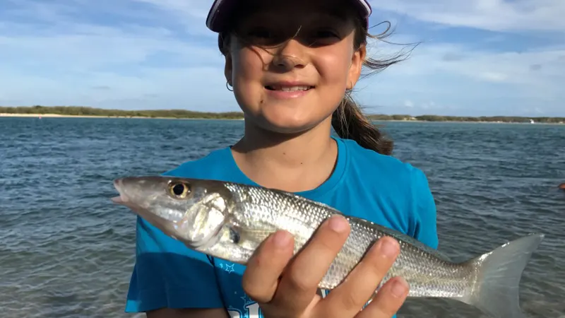 Sunshine Coast fishing