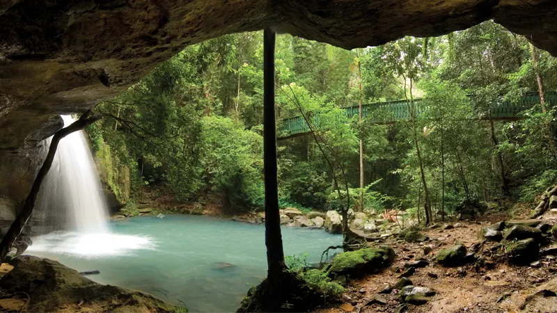 Buderim Forest Waterfalls (Serenity Falls), Buderim