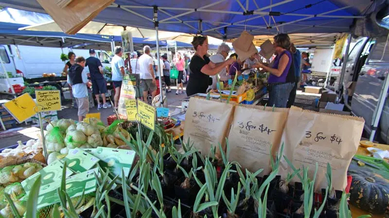 Noosa Farmers Markets