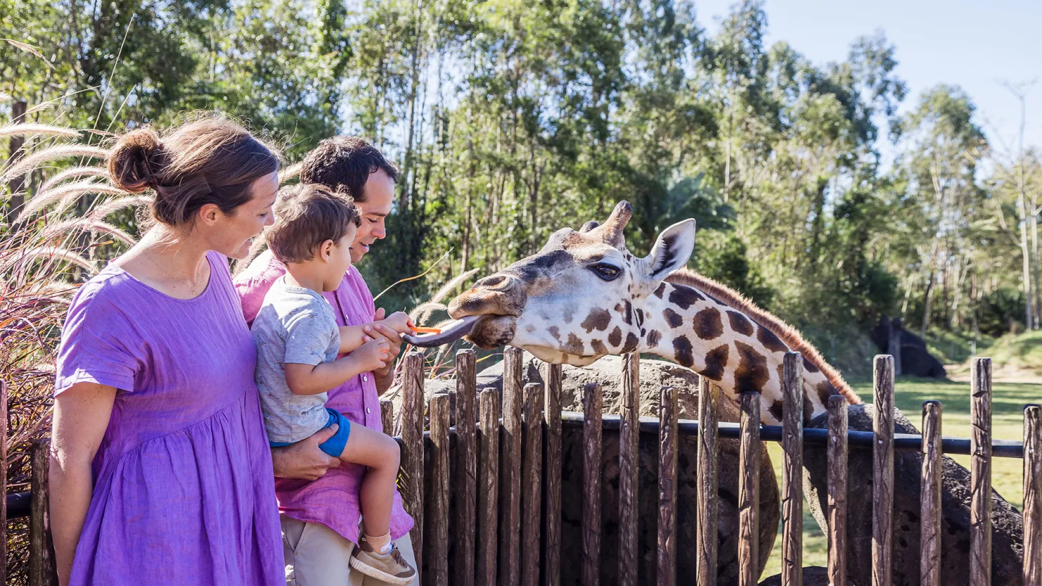 Meet the wildlife at Australia Zoo