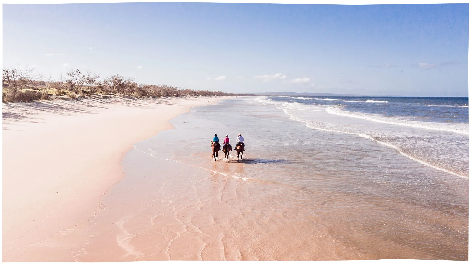 Rainbow Beach Horse Rides
