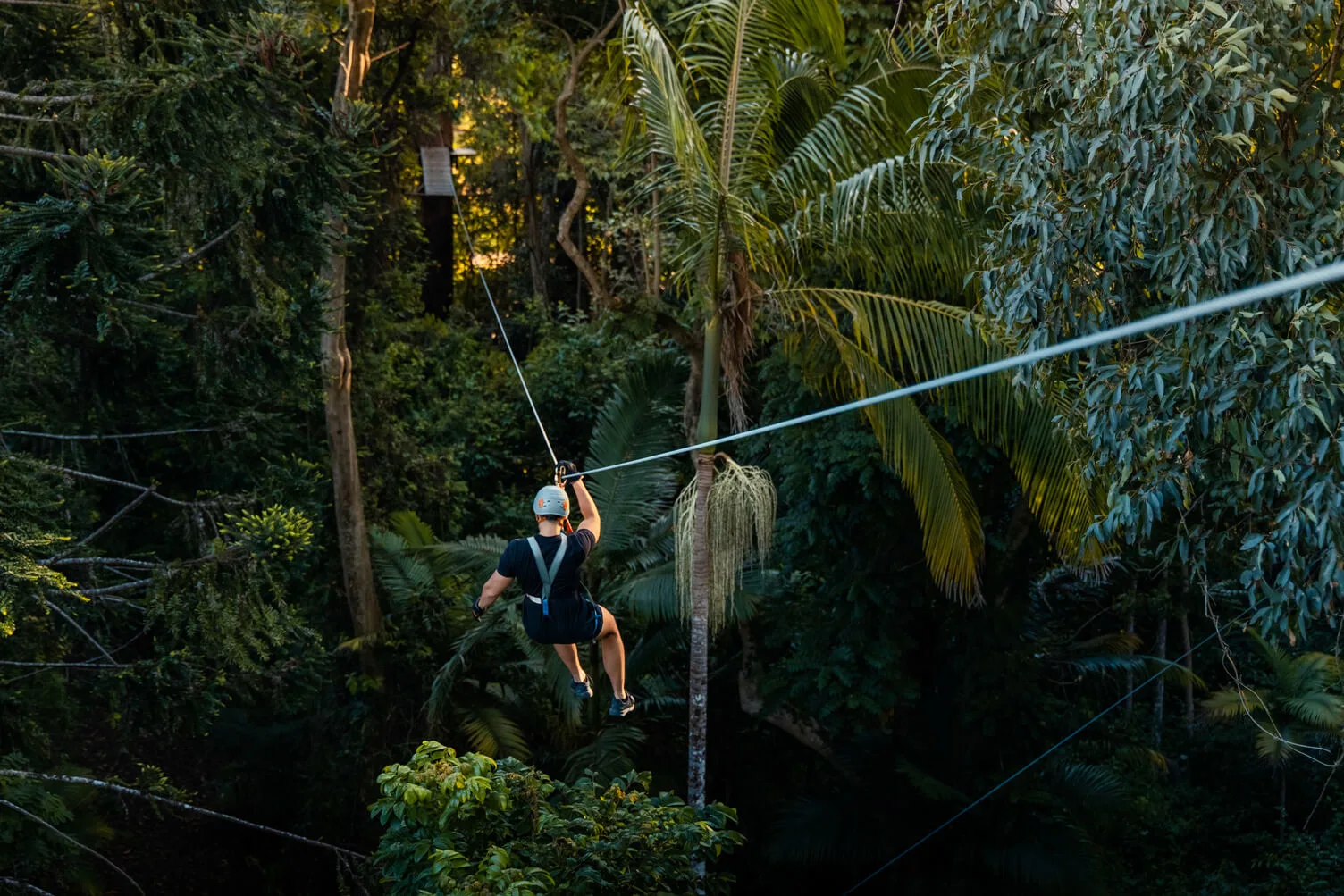 TreeTop Challenge Sunshine Coast, Woombye