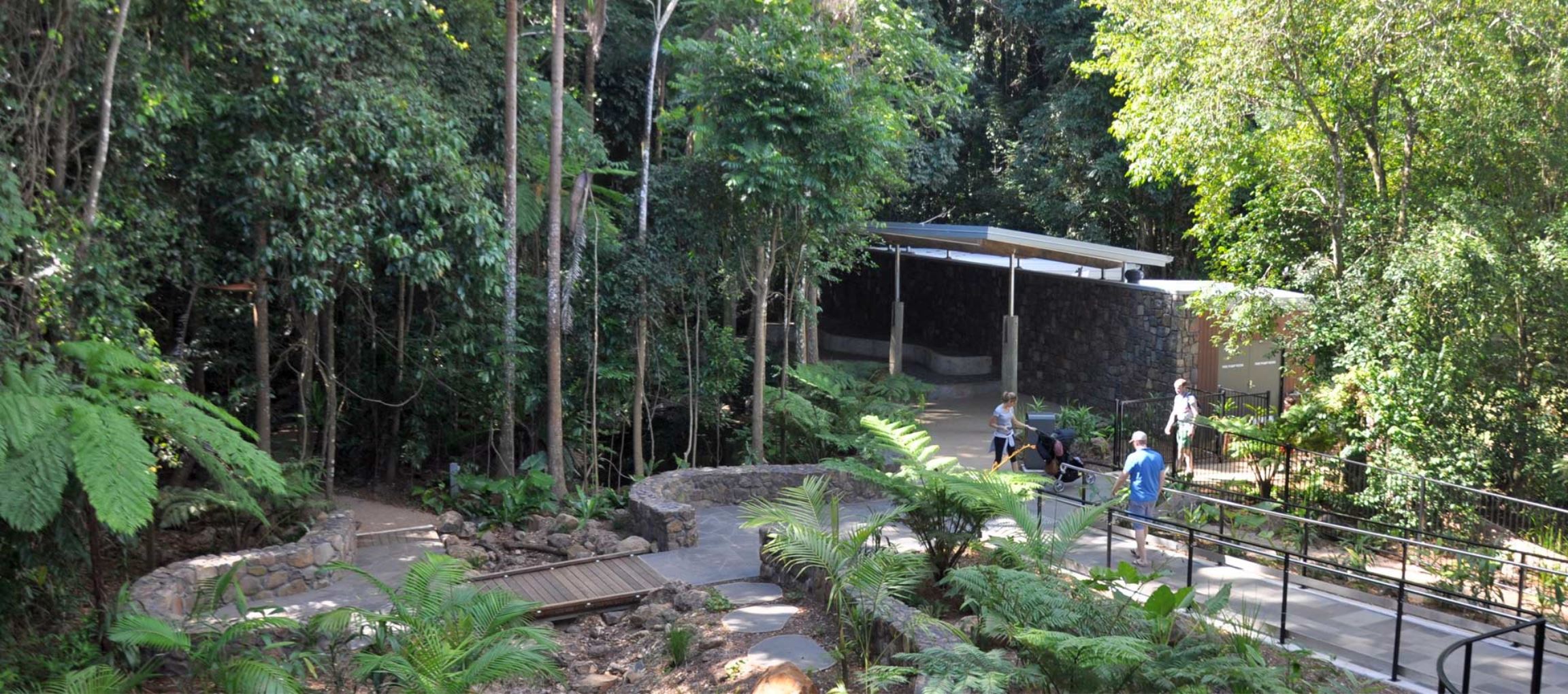 Mary Cairncross Scenic Reserve Rainforest Discovery Centre Visit   Mary Cairncross Scenic Reerve 01 