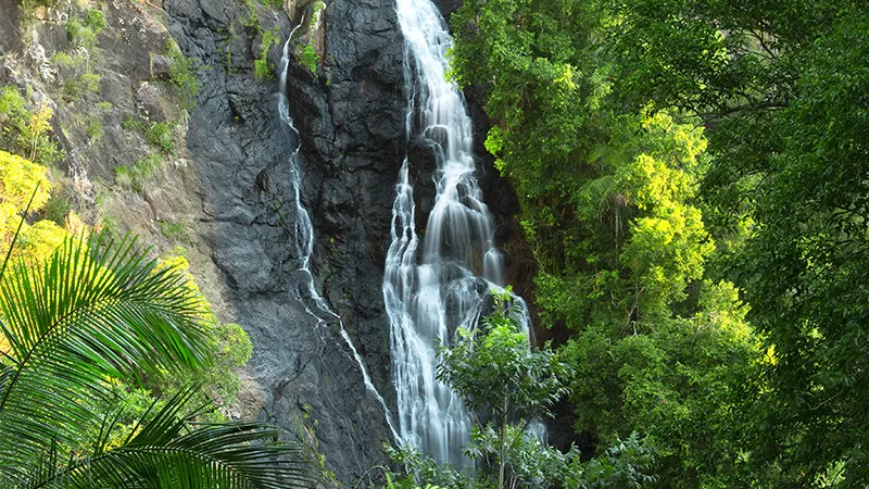 Kondalilla Falls, Montville