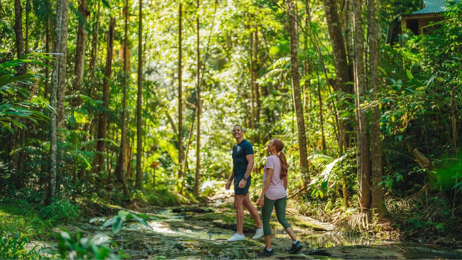 Narrows Escape Rainforest Retreat, Montville, Sunshine Coast Hinterland